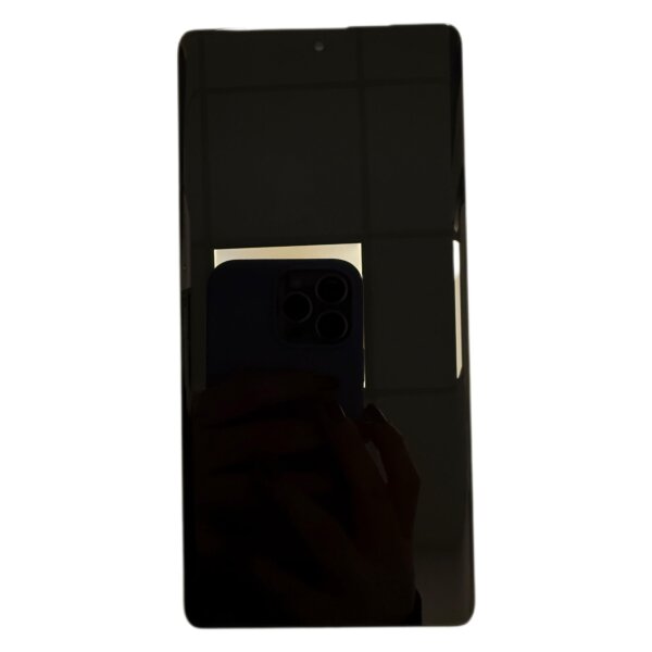 LCD mit Touch für Google Pixel 7 Pro