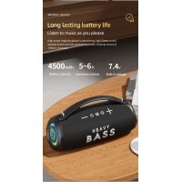 Heavy Bass-33 Bluetooth Lautsprecher schwarz
