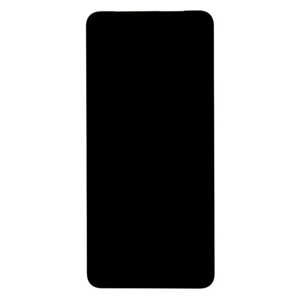 LCD mit Touch für Google Pixel 8 Pro